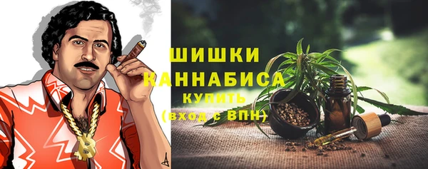 гидра Алагир
