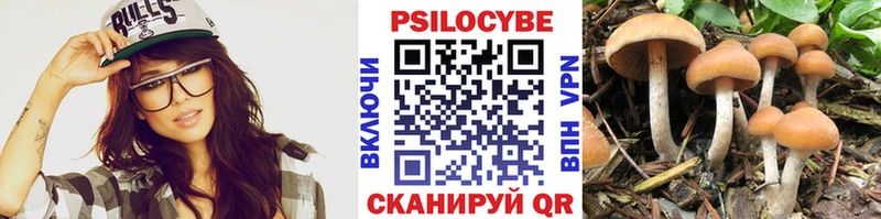 Галлюциногенные грибы Psilocybe Тайшет