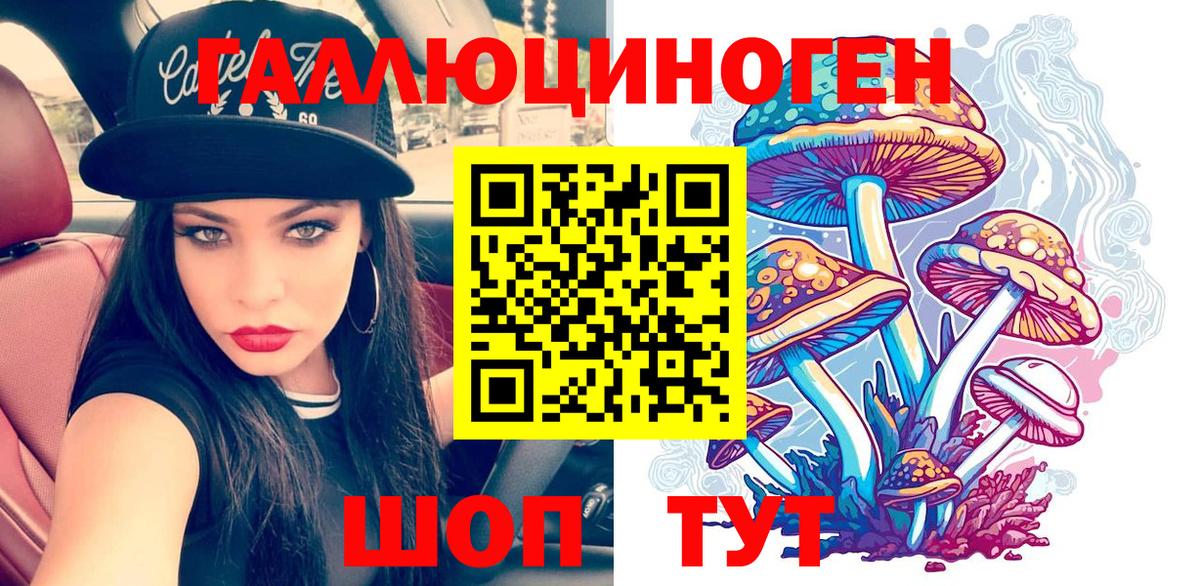 наркота  Тайшет  Галлюциногенные грибы мицелий 