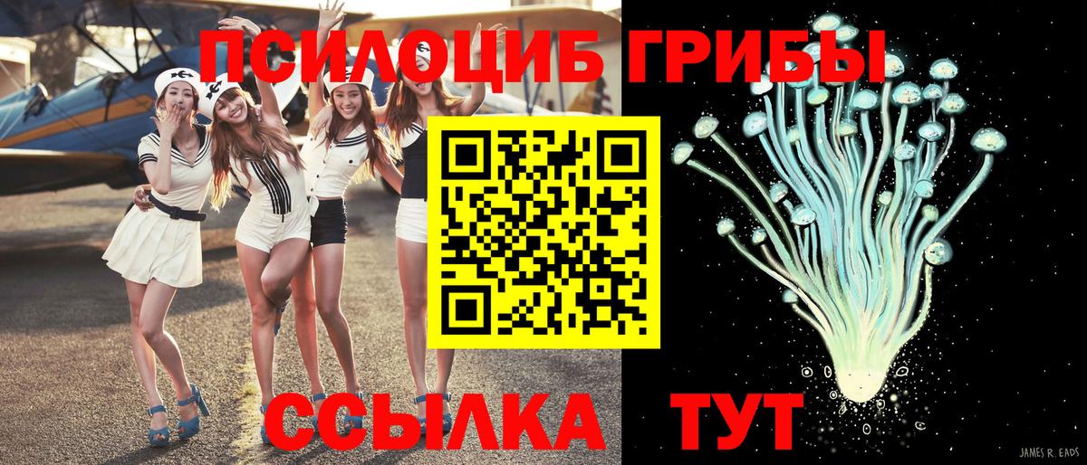 продажа наркотиков  Вход с VPN  Тайшет  Псилоцибиновые грибы GOLDEN TEACHER 
