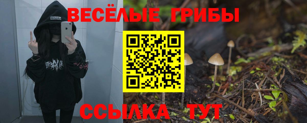 Галлюциногенные грибы ЛСД Тайшет